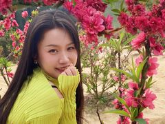 -南国桃园旅游度假区