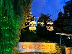 -富斯特索道