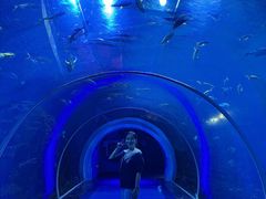 -威海华夏城景区