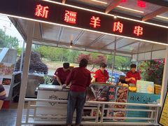 -大队长大灶鹅