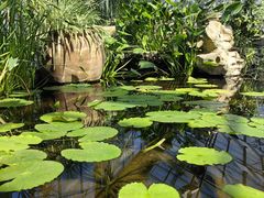 -国家植物园南园