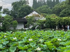 -上海醉白池公园
