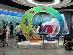 -国家自然博物馆