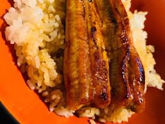 -料亭菊水楼