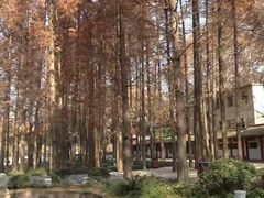 -东坡赤壁风景名胜区