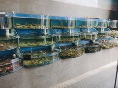 -蓝珊甄选海鲜自助·火锅大排档(近阿那亚店)
