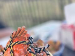 -七的湖·晚芳亭·阳澄湖农家菜·大闸蟹(莲花岛店)