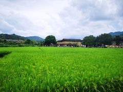 -云水谣景区