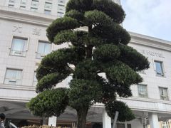 -白金汉爵大酒店(相城店)