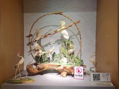 -橘子洲景区