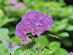 -常州古运河南大街文化旅游区-人民公园