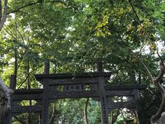 -杭州黄龙洞