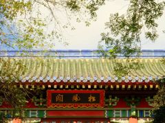 -灵谷景区
