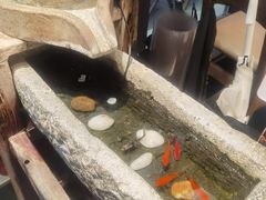 -兵哥豌豆面(雅颂居店)