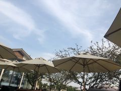 -望海·帆船主题咖啡厅•品茗下午茶(石湖景区店)