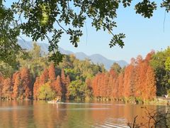 -星湖旅游景区七星岩