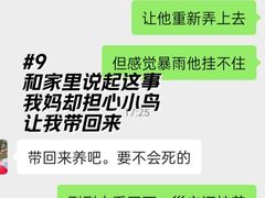 -长洲岛