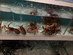 -盒马X会员店(王府井奥莱UP TOWN店)