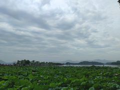 -西湖游船