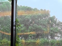 -潮府馆·非遗潮州菜·港式点心(世纪公园店)