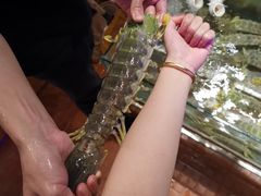 -辉记炭烧海鲜大排档·老字号(福田店)