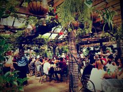 -The Grounds of Alexandria
