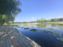 -白洋淀景区