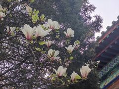 -大钟寺古钟博物馆
