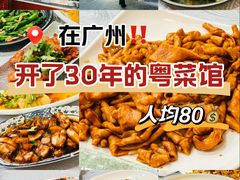 -粤·向群饭店(龙津东路总店)