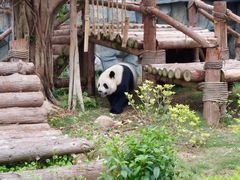 -泉州海丝野生动物世界