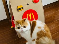 -麦当劳(光新乐购店)