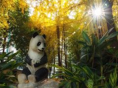 -锦江宾馆-花园餐厅