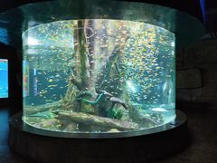 -合肥海洋世界