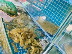 水产区-蟹谢蒸鲜自助餐厅