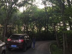 -春兰国宾馆(凤城河风景区老街店)