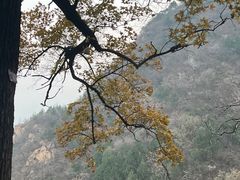 -鹫峰国家森林公园