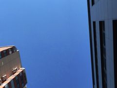 -the rug 飞毯 (朝阳公园店)