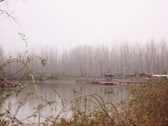 -合肥滨湖国家森林公园