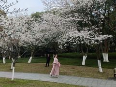 -范蠡湖公园