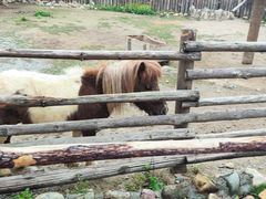 -泉州海丝野生动物世界