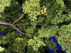 -酷cigar&whisky·bar(神仙树店)