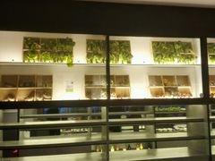 -夫妻肺片·中华老字号·正宗川菜(春熙路店)
