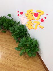 -SOR索尔祛痘·面部肌肤管理