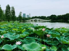 -飞来湖湿地公园