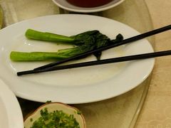 -新锦鸿(演达店)