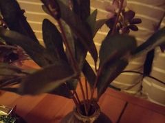 -鸥迪足道(建大店)