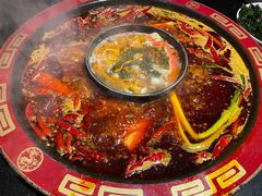 大掌柜鸳鸯锅-矮板凳老火锅(宽窄巷子店)