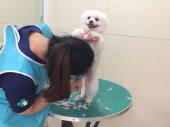 -佳雯宠物医院(四明中路分院)