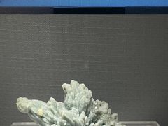 -湖南省地质博物馆