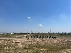 -水洞沟旅游区